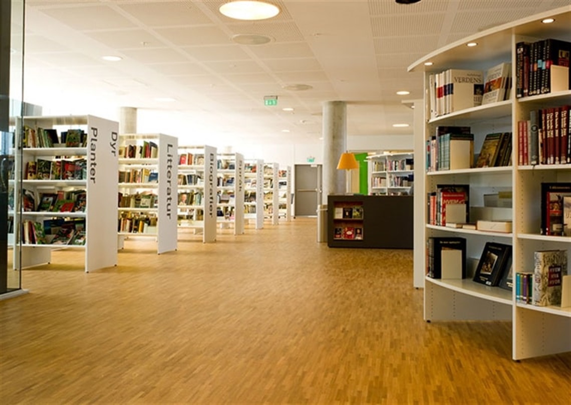 Rows of books in shelves in a library setting